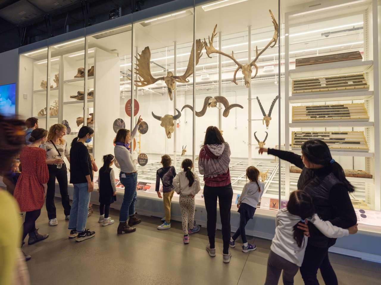 People at one of the galleries at the American Museum of Natural History
