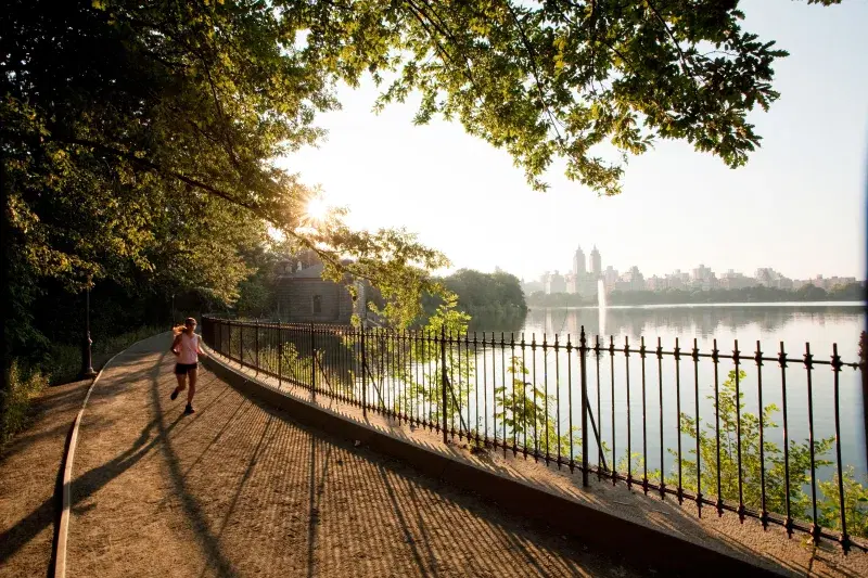runner at Central Park, in Manhattan 