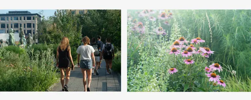 People walking in the High Line, flowers in the High Line