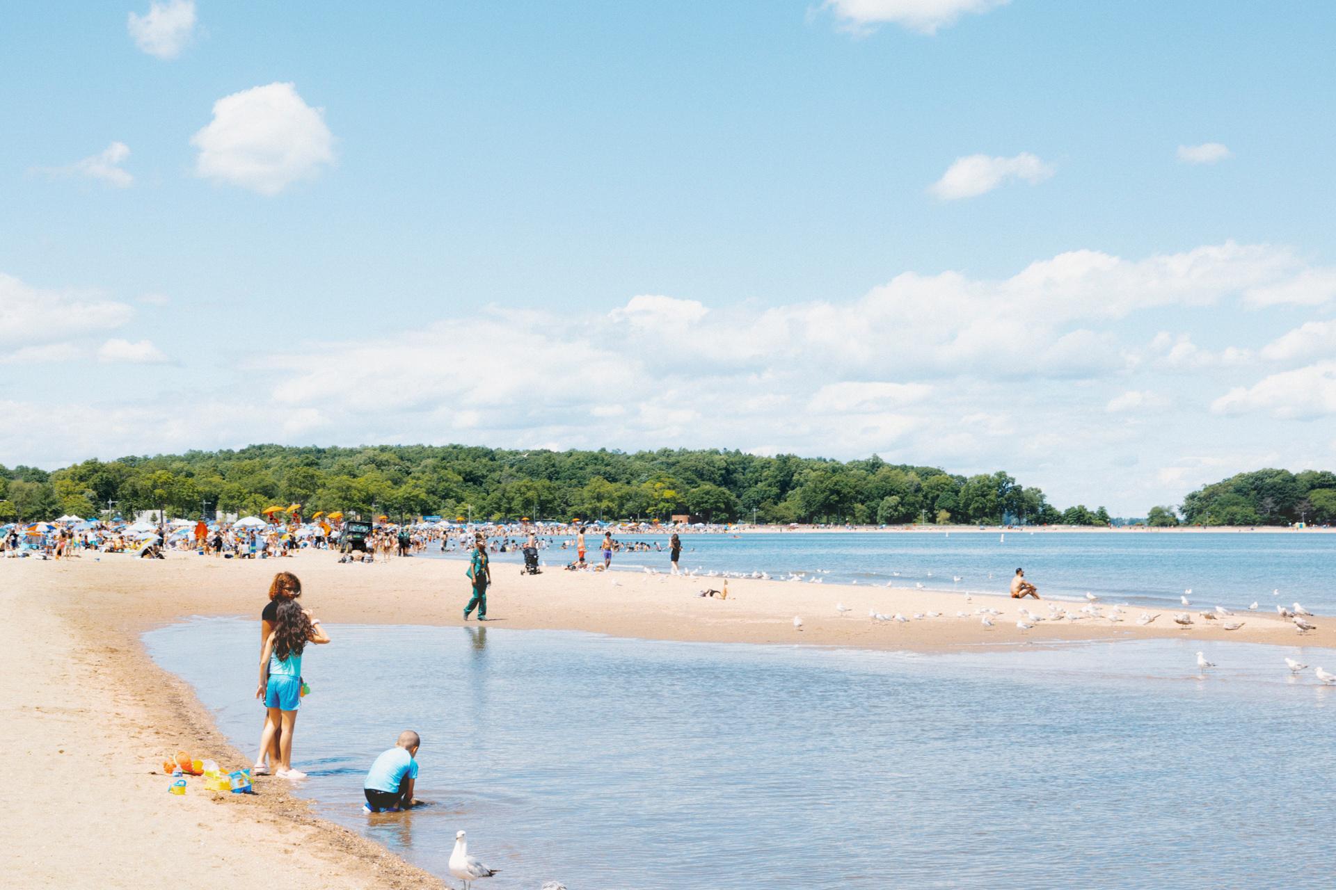 People enjoy a sunny day at a beach with a sandy shore, some playing near the water and others gathered in the distance; trees and cloudy blue sky are in the background.