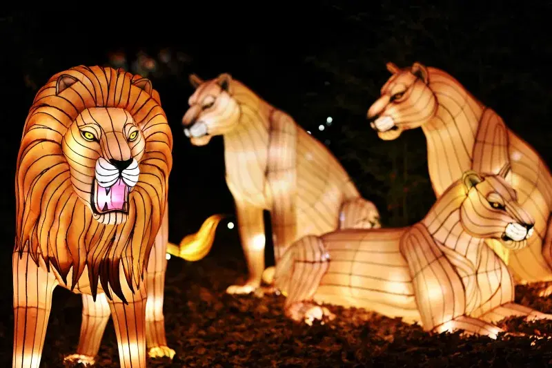 Bronx Zoo Holiday Lights. Photo: Lindsay Silverman