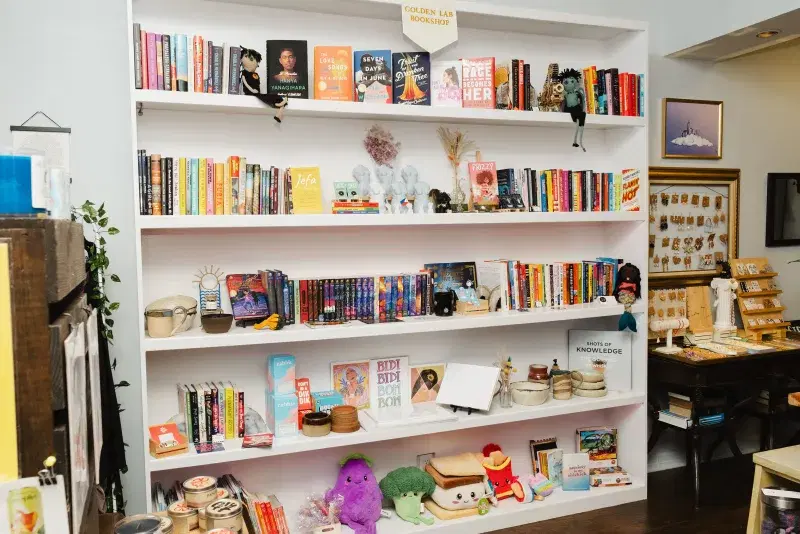 bookshelves at Golden Lab Bookshop/Side, BIPOC books