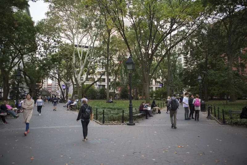 Washington Square Park. Photo: Molly Flores