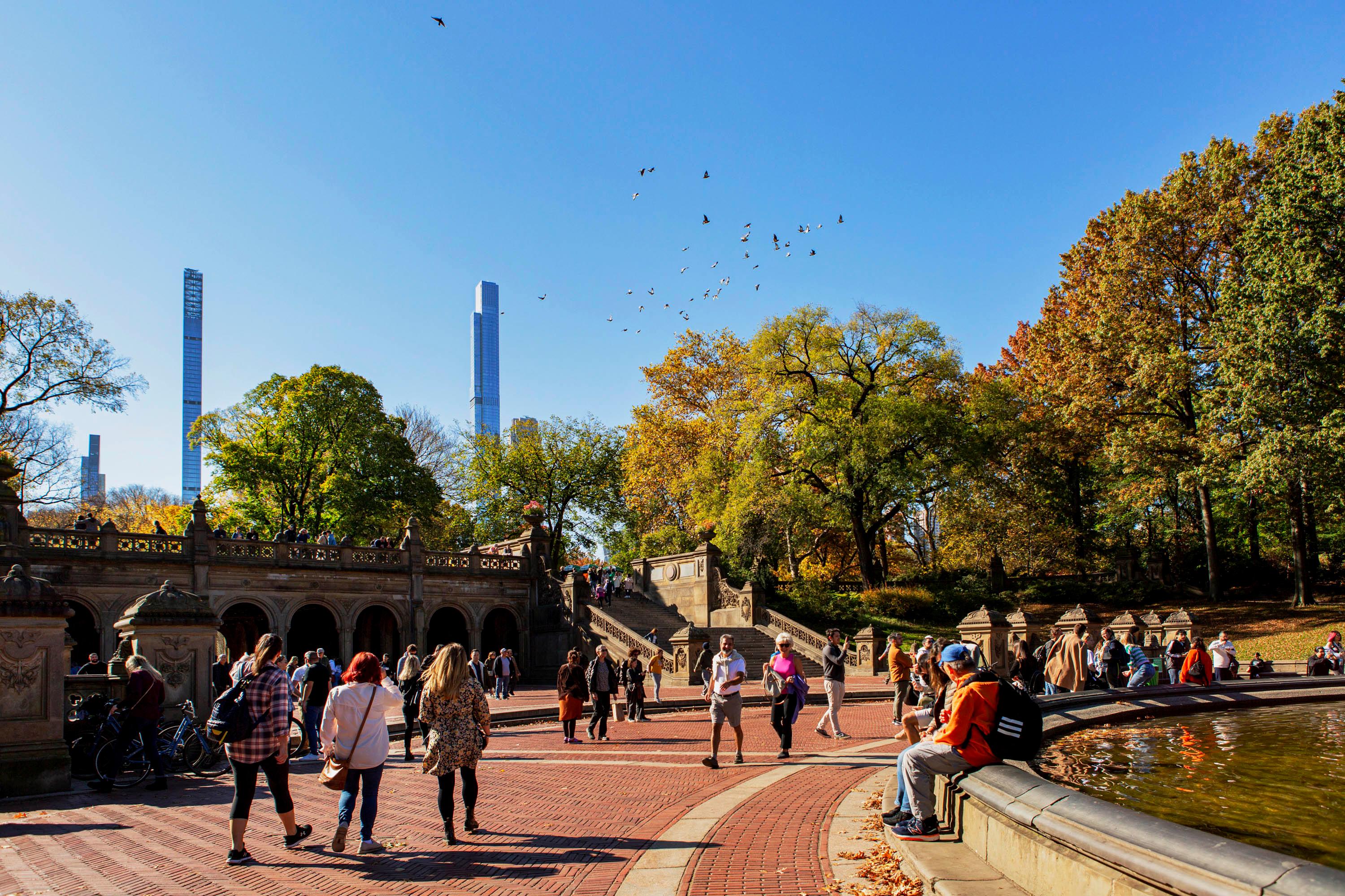 People enjoying Central Park in Manhattan
