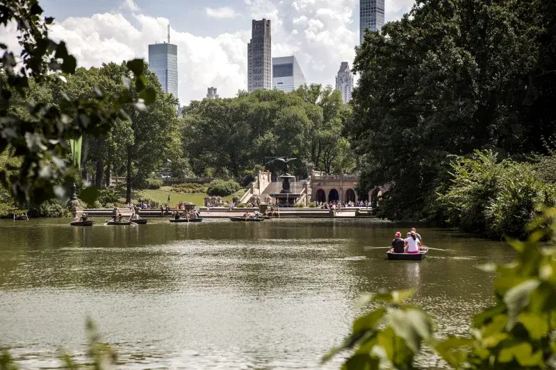 Central Park. Photo: Brittany Petronella 