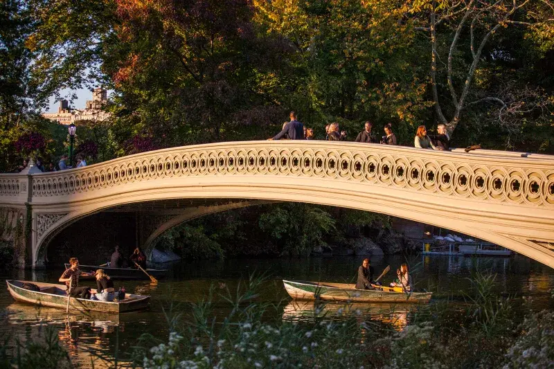 people rowing at Central Park Lake in Manhattan