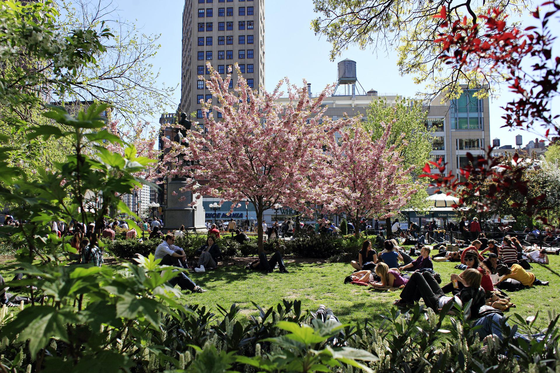 relaxing sunny afternoon in Union Square Park
