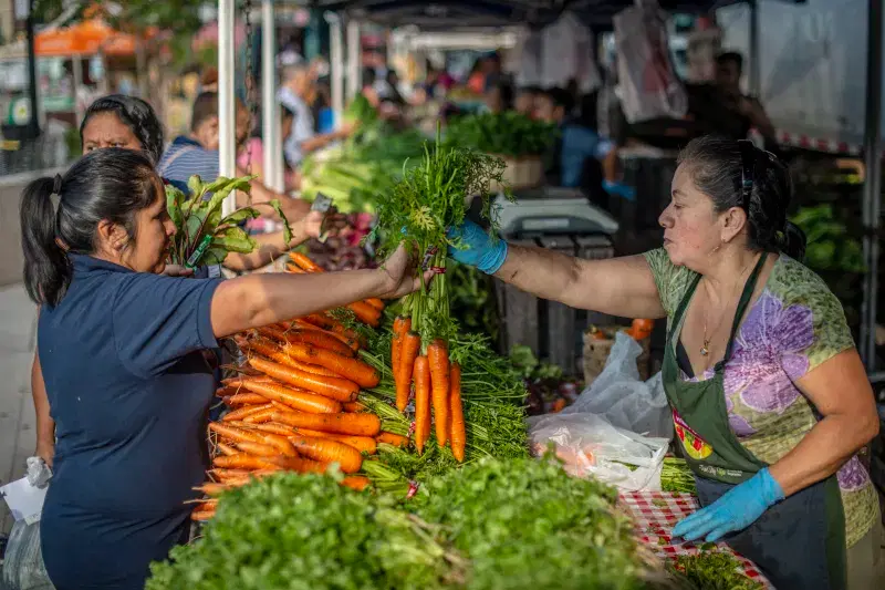 person selling carrots at Corona Farmers Market