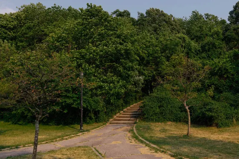 A green park, and stairs in the center of the frame,  during a sunny day at Silver Lake Park in Staten Island