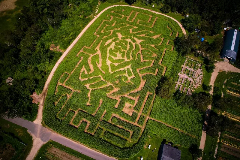 Amazing Maize Maze. Photo: Matt Borowick