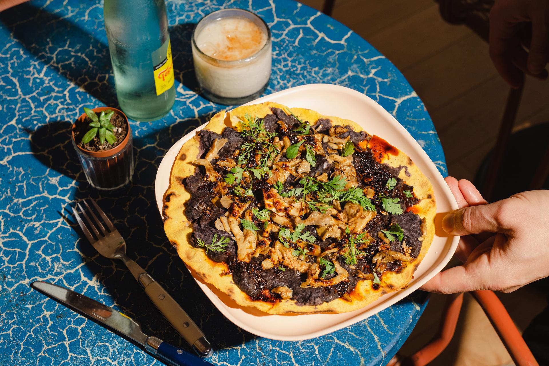 image of a mezcal mushroom tlayuditas