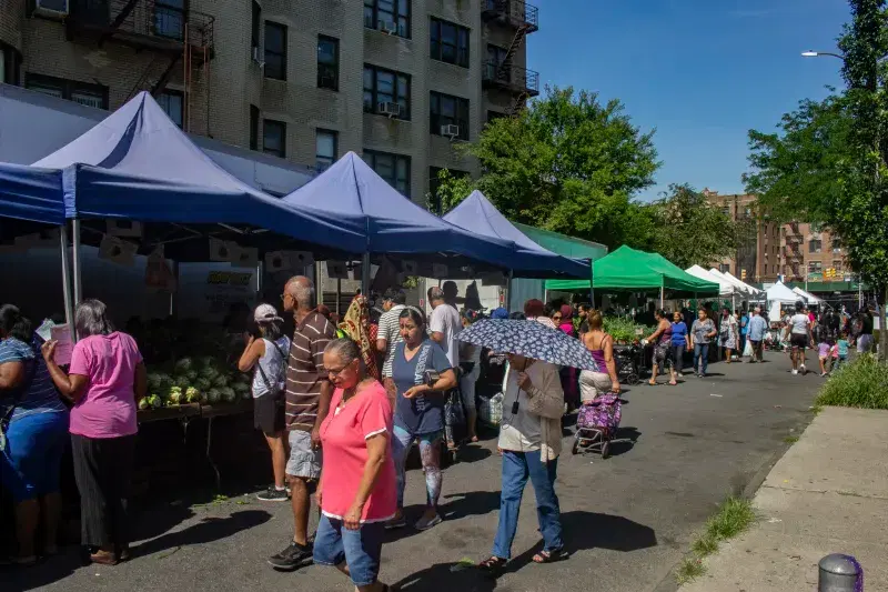 people buying fresh fruits and vegetables in Parkchester Farmers Market