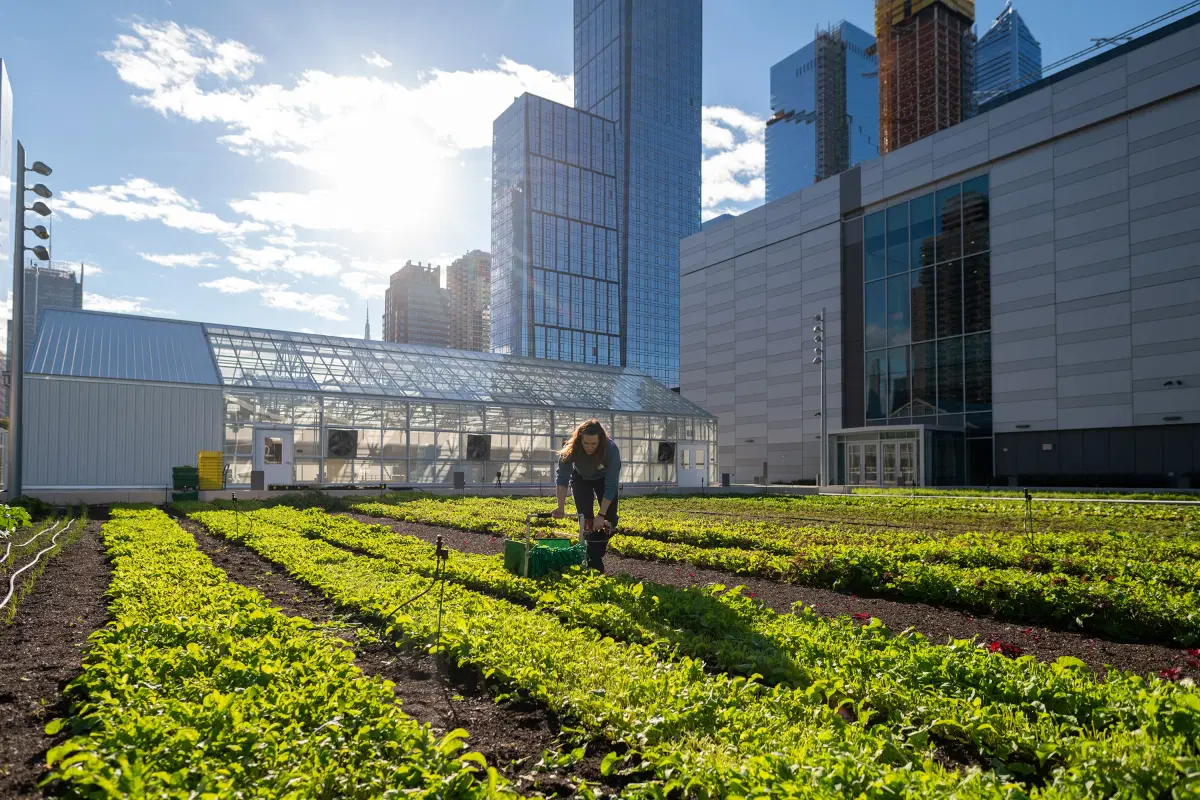 The Green Roof at Javits Center