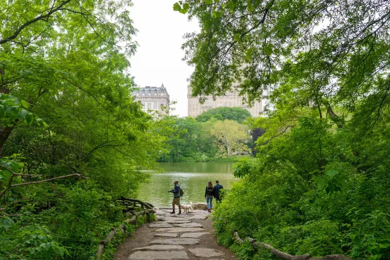 People at the Ramble in Central Park in Manhattan
