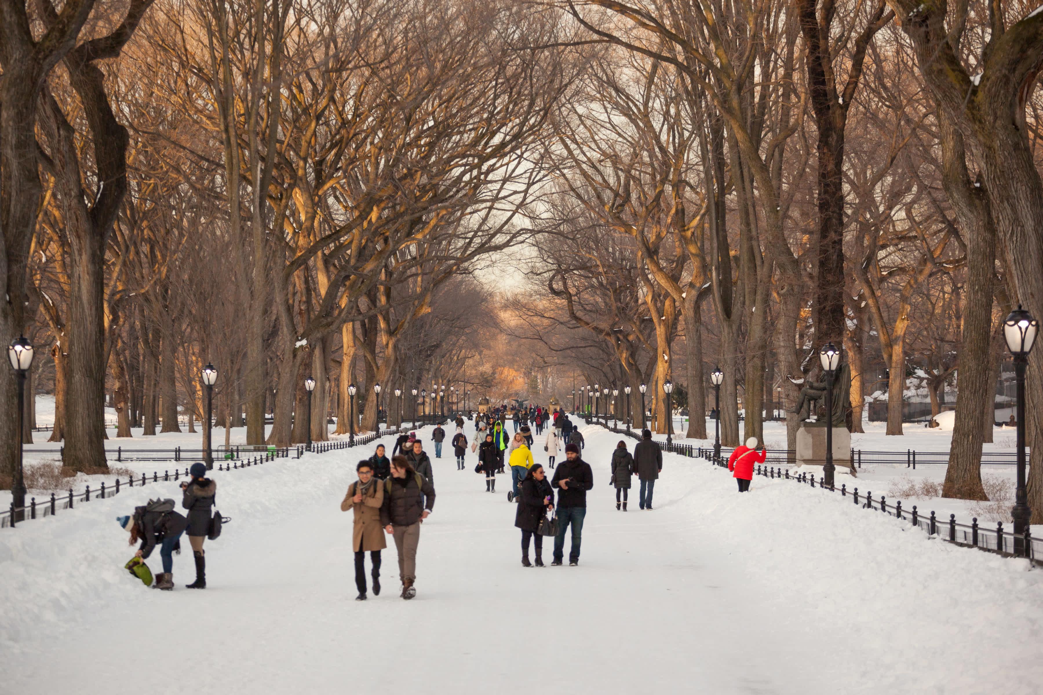 people enjoying Central Park in the winter