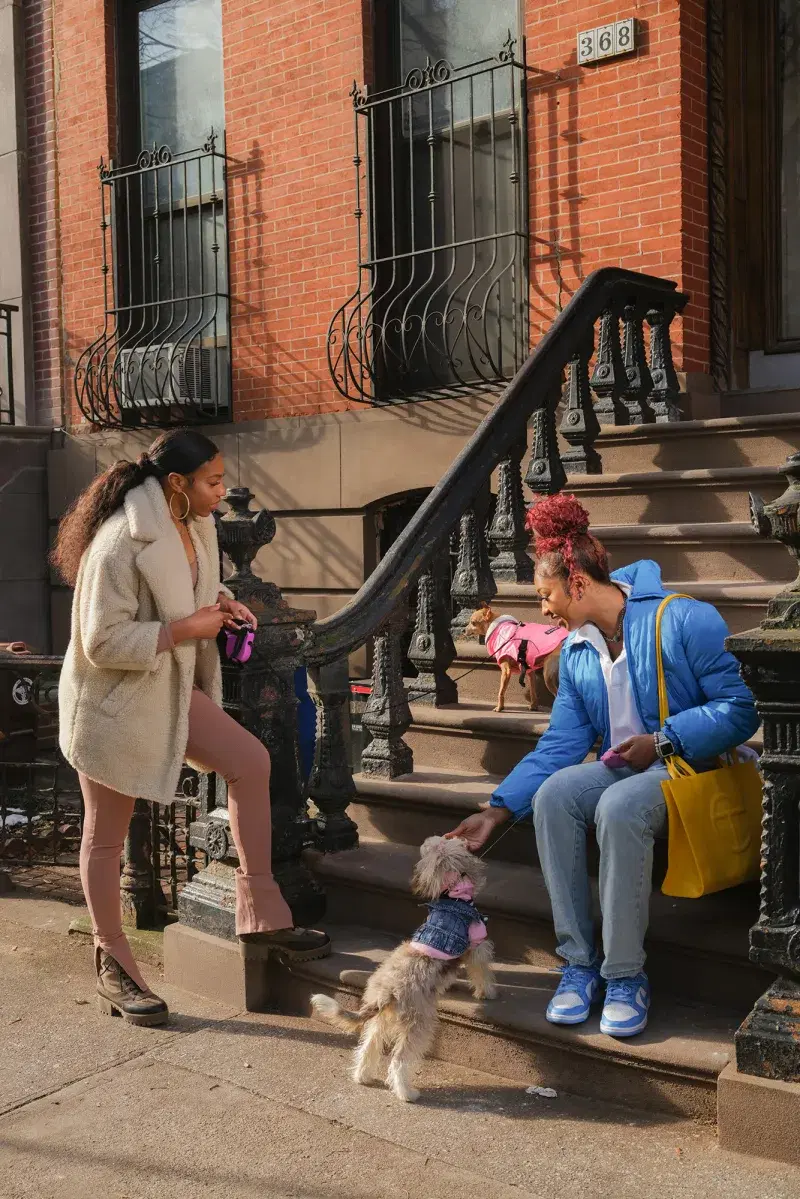 Portrait of Betnijah Laney and Didi Richards of the New York Liberty, sitting on a stoop with two small dogs, in Brooklyn