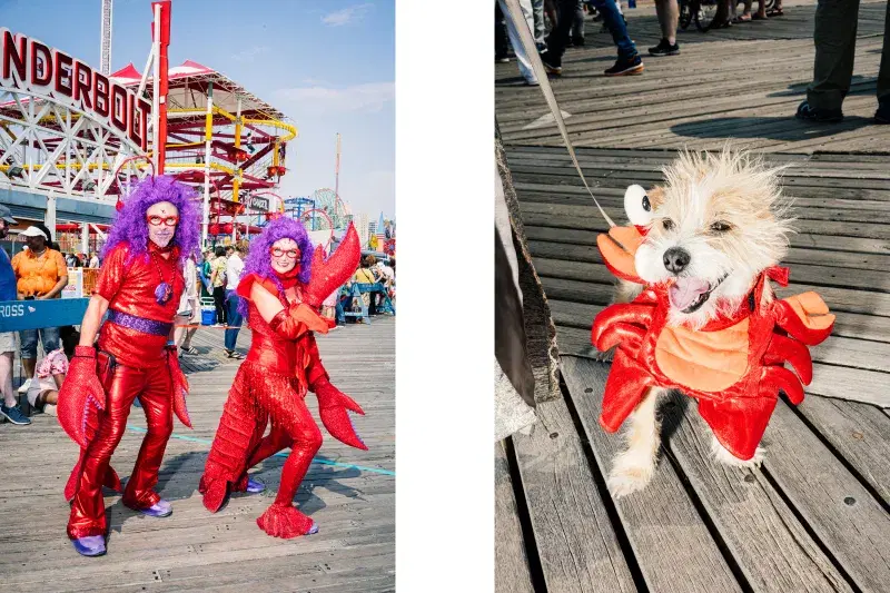 Two images from the Mermaid Parade: Image on left is of two people dressed up in lobster costumes. Photo on right is a dog dressed up in Lobster costume