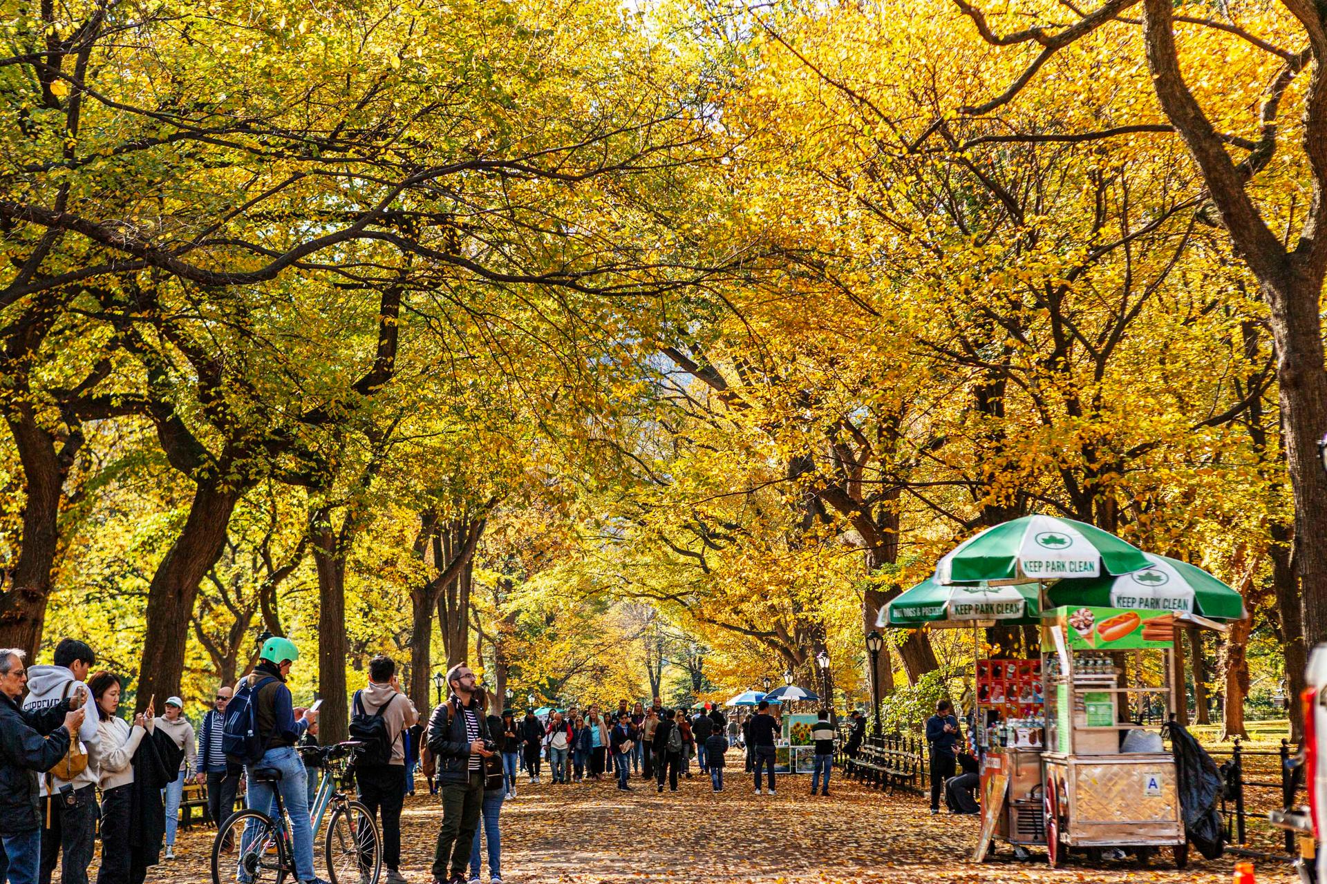 People walk around the mall at Central Park, Manhattan. Fall Foliage at Central Park