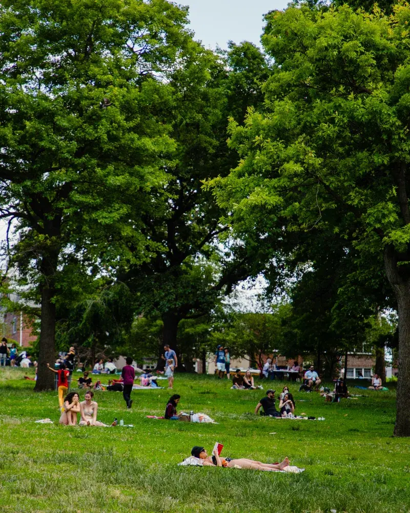 People laying on the grass in Astoria Park in Queens